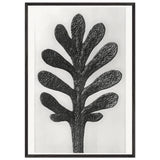 Art Forms in Nature 37 by Karl Blossfeldt, framed poster, view 3