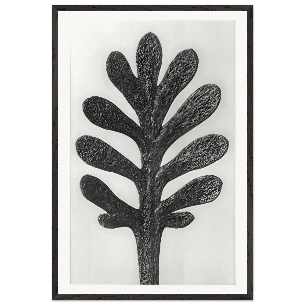 Art Forms in Nature 37 by Karl Blossfeldt, framed poster