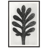 Art Forms in Nature 37 by Karl Blossfeldt, framed poster