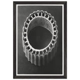 Art Forms in Nature 4 by Karl Blossfeldt, framed poster, view 2