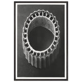 Art Forms in Nature 4 by Karl Blossfeldt, framed poster