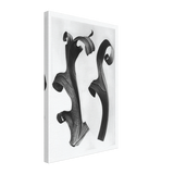 Art Forms in Nature 40 by Karl Blossfeldt, canvas
