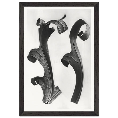 Art Forms in Nature 40 by Karl Blossfeldt, framed poster, view 2