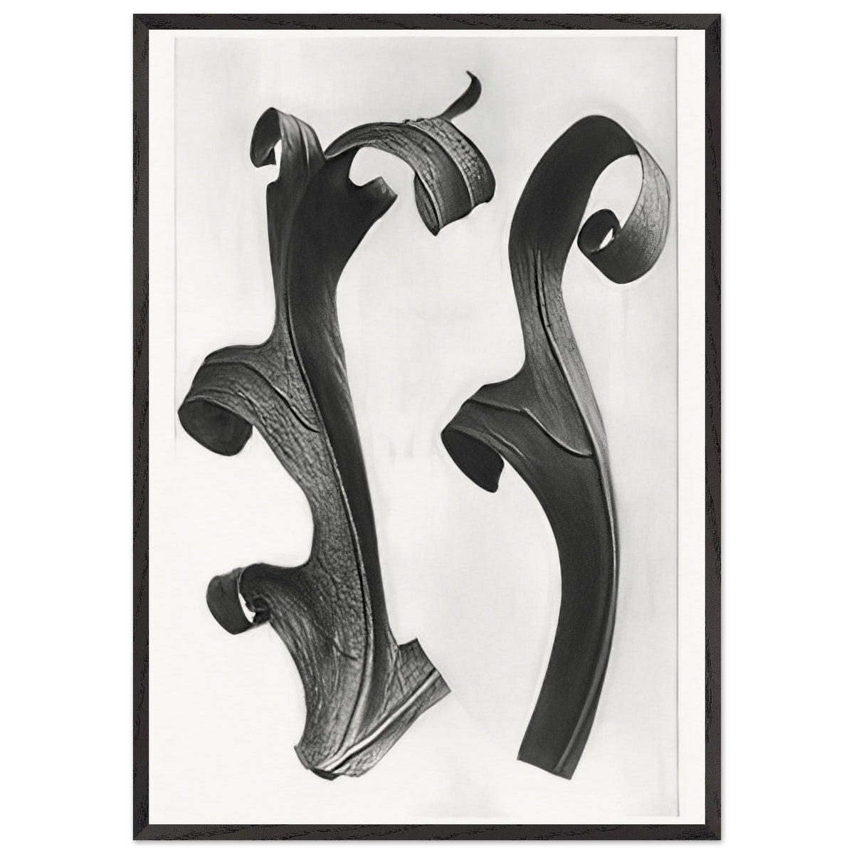 Art Forms in Nature 40 by Karl Blossfeldt, framed poster, view 3