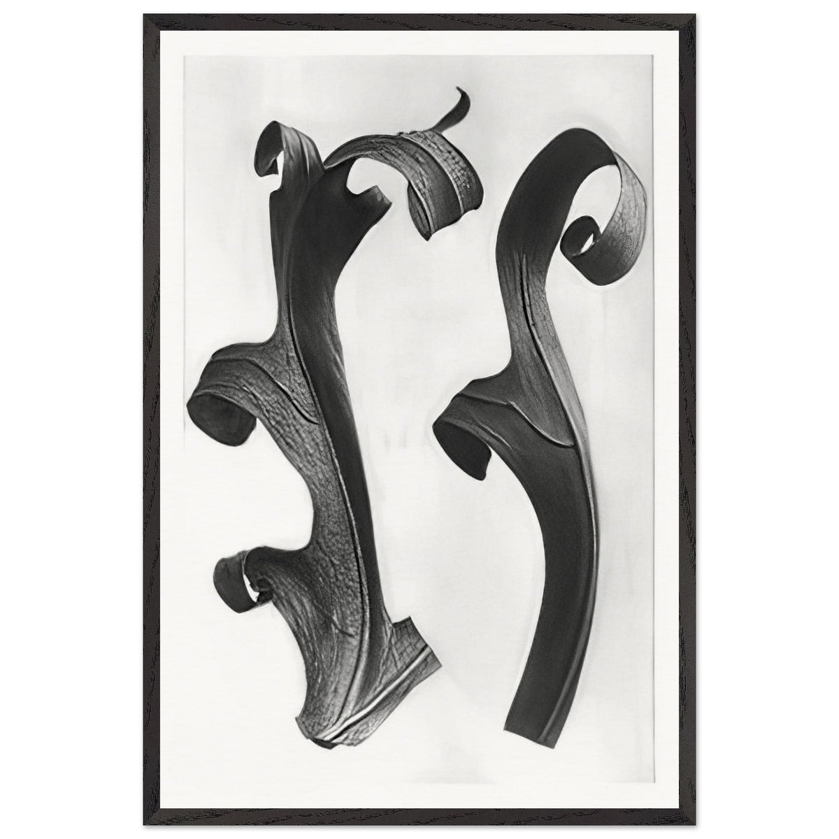 Art Forms in Nature 40 by Karl Blossfeldt, framed poster