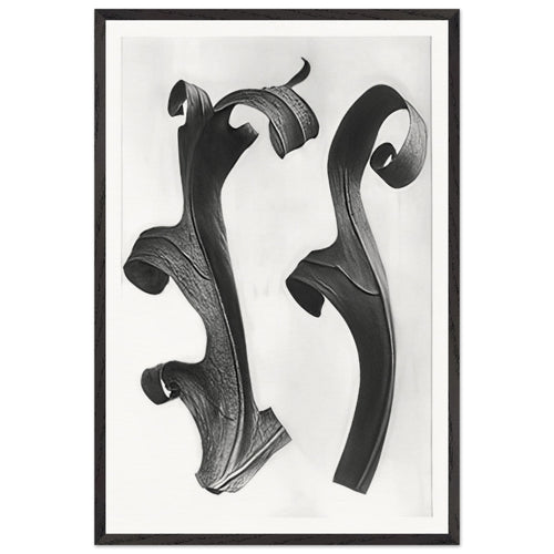 Art Forms in Nature 40 by Karl Blossfeldt, framed poster