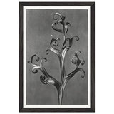 Art Forms in Nature 43 by Karl Blossfeldt, framed poster, view 2