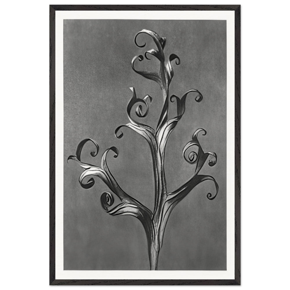 Art Forms in Nature 43 by Karl Blossfeldt, framed poster