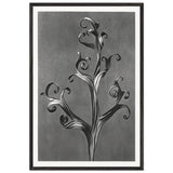 Art Forms in Nature 43 by Karl Blossfeldt, framed poster
