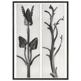 Art Forms in Nature 48 by Karl Blossfeldt, framed poster, view 3