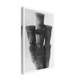 Art Forms in Nature 5 by Karl Blossfeldt, canvas, view 2