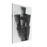 Art Forms in Nature 5 by Karl Blossfeldt, canvas