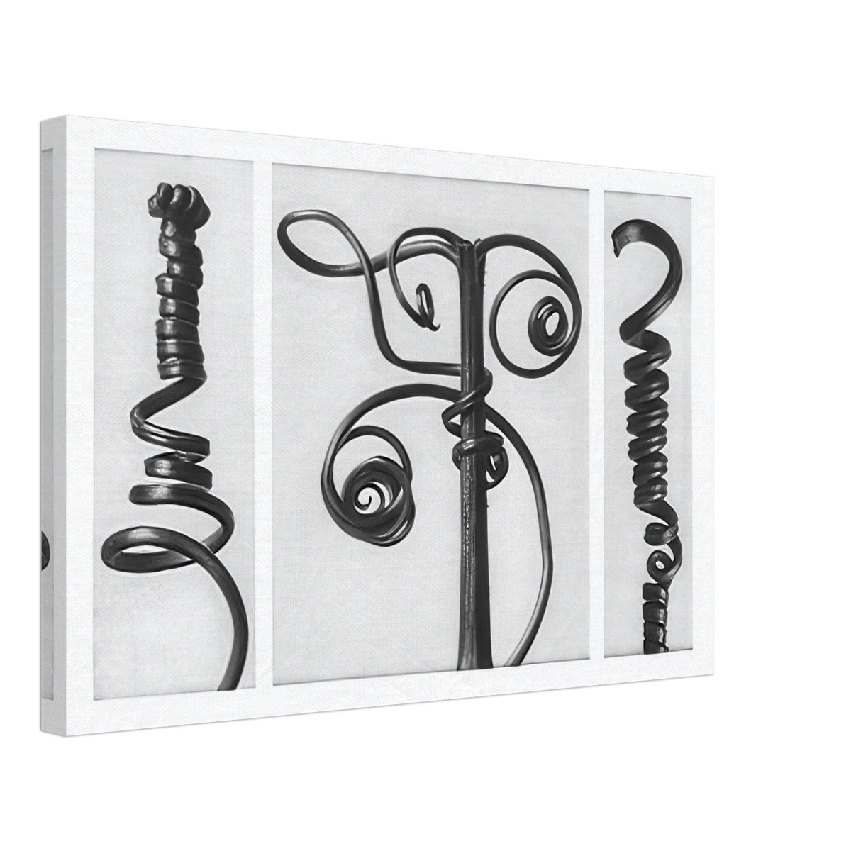 Art Forms in Nature 53 by Karl Blossfeldt, canvas