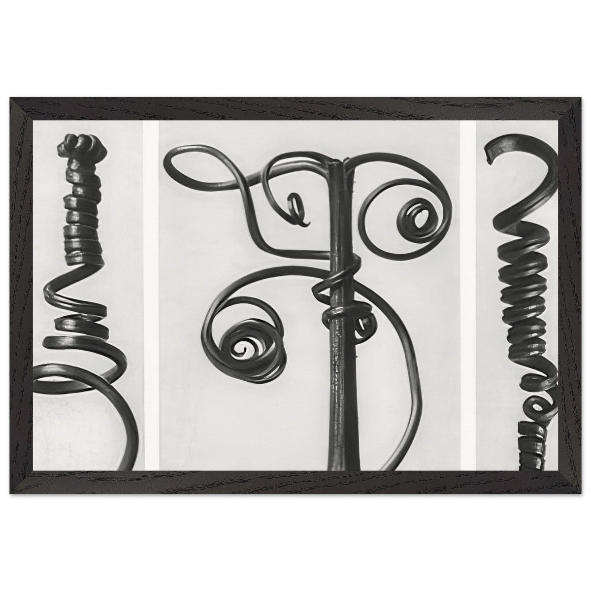 Art Forms in Nature 53 by Karl Blossfeldt, framed poster, view 2