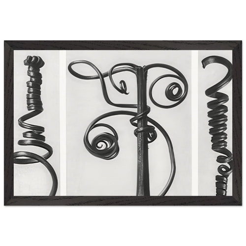 Art Forms in Nature 53 by Karl Blossfeldt, framed poster, view 2