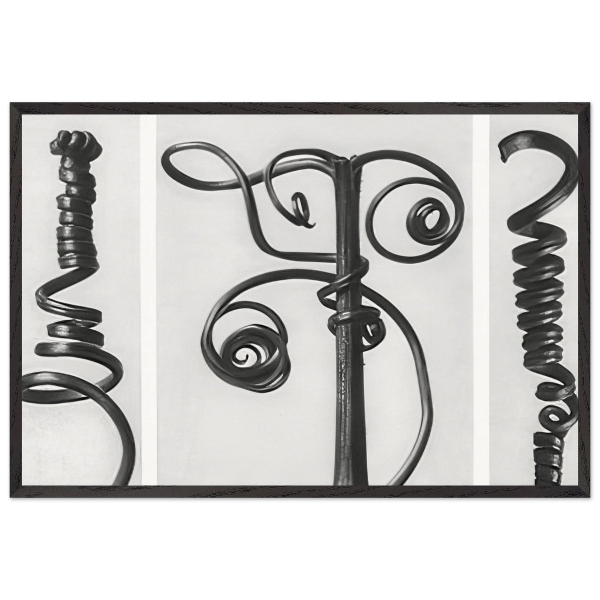 Art Forms in Nature 53 by Karl Blossfeldt, framed poster