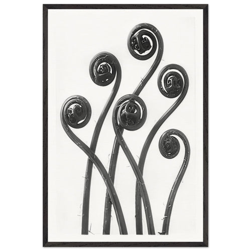 Art Forms in Nature 55 by Karl Blossfeldt, framed poster