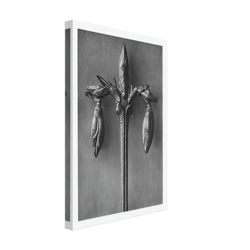 Art Forms in Nature 57 by Karl Blossfeldt, canvas, view 2