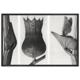 Art Forms in Nature 59 by Karl Blossfeldt, framed poster