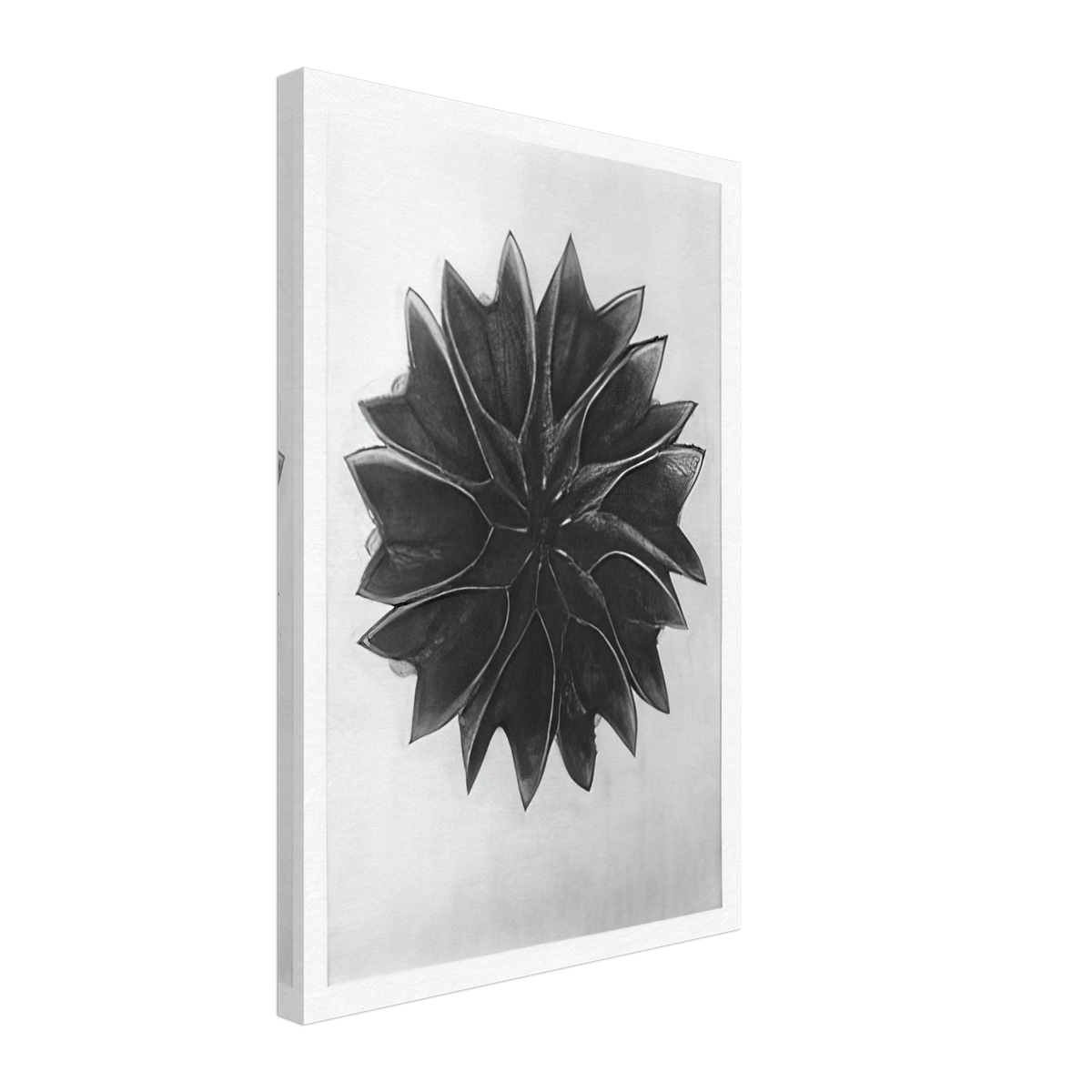 Art Forms in Nature 63 by Karl Blossfeldt, canvas