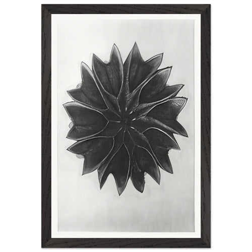 Art Forms in Nature 63 by Karl Blossfeldt, framed poster, view 2