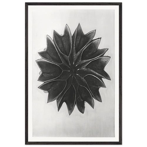 Art Forms in Nature 63 by Karl Blossfeldt, framed poster