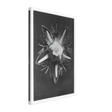 Art Forms in Nature 68 by Karl Blossfeldt, canvas