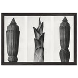 Art Forms in Nature 7 by Karl Blossfeldt, framed poster, view 2