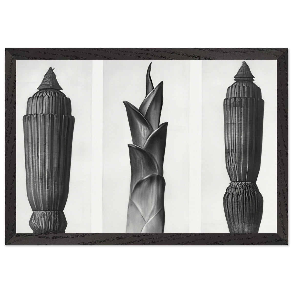Art Forms in Nature 7 by Karl Blossfeldt, framed poster, view 2