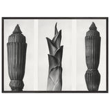 Art Forms in Nature 7 by Karl Blossfeldt, framed poster, view 3