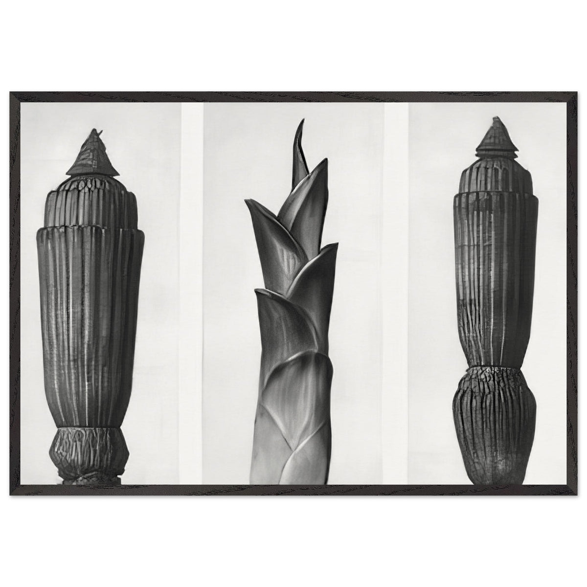 Art Forms in Nature 7 by Karl Blossfeldt, framed poster, view 3