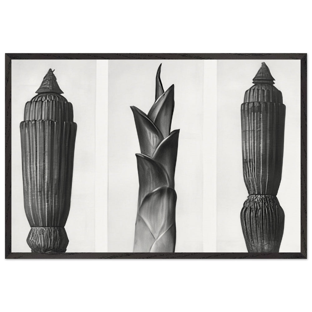 Art Forms in Nature 7 by Karl Blossfeldt, framed poster