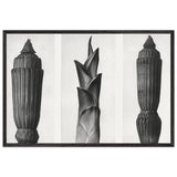 Art Forms in Nature 7 by Karl Blossfeldt, framed poster