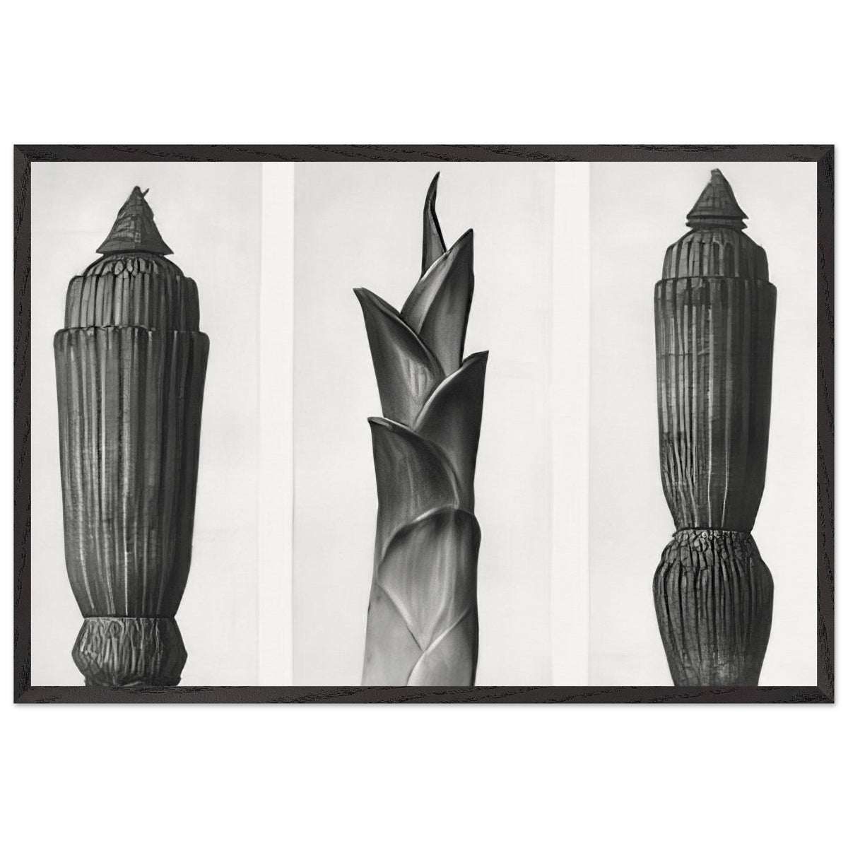 Art Forms in Nature 7 by Karl Blossfeldt, framed poster