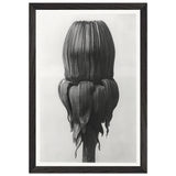 Art Forms in Nature 75 by Karl Blossfeldt, framed poster, view 2