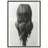Art Forms in Nature 75 by Karl Blossfeldt, framed poster, view 3