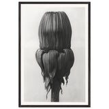 Art Forms in Nature 75 by Karl Blossfeldt, framed poster