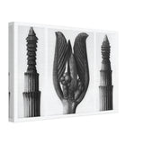 Art Forms in Nature 8 by Karl Blossfeldt, canvas, view 2