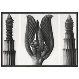 Art Forms in Nature 8 by Karl Blossfeldt, framed poster, view 3