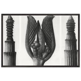 Art Forms in Nature 8 by Karl Blossfeldt, framed poster