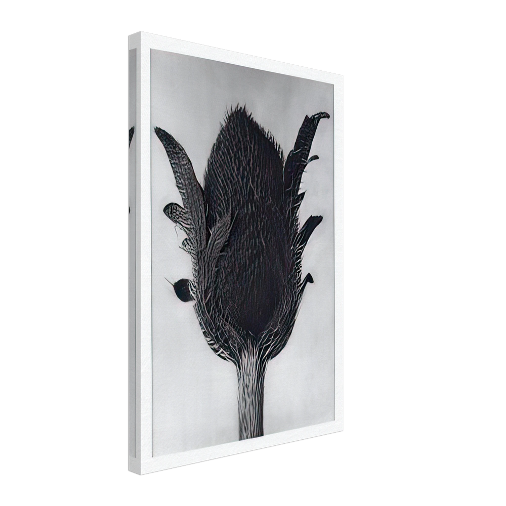 Art Forms in Nature 80 by Karl Blossfeldt, canvas
