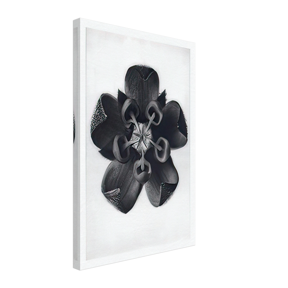 Art Forms in Nature 82 by Karl Blossfeldt, canvas