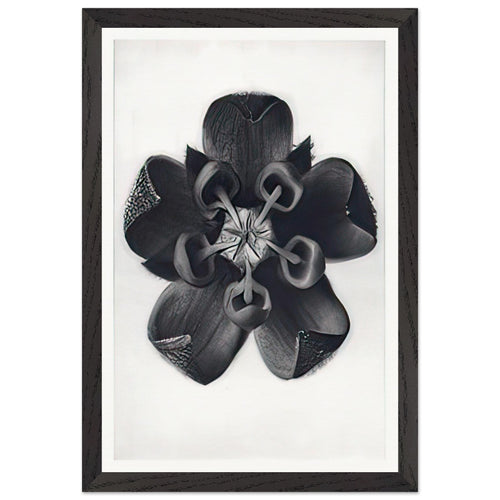 Art Forms in Nature 82 by Karl Blossfeldt, framed poster, view 2