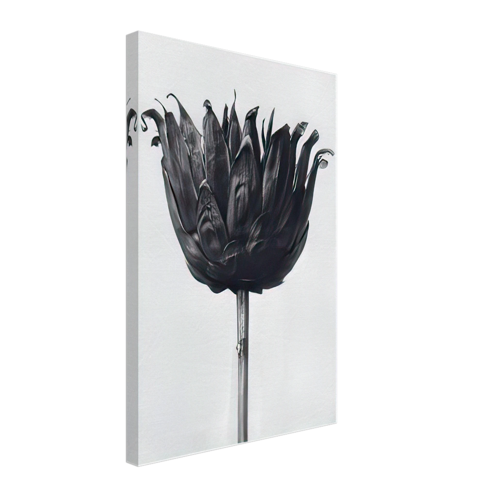 Art Forms in Nature 86 by Karl Blossfeldt, canvas