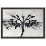 Art Forms in Nature 88 by Karl Blossfeldt, framed poster, view 2