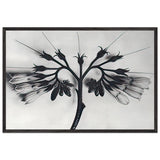 Art Forms in Nature 88 by Karl Blossfeldt, framed poster