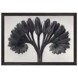 Art Forms in Nature 89 by Karl Blossfeldt, framed poster, view 2