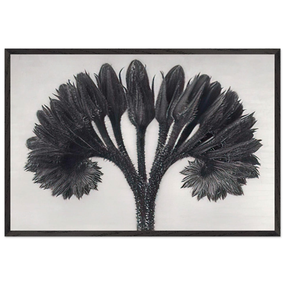 Art Forms in Nature 89 by Karl Blossfeldt, framed poster