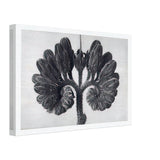 Art Forms in Nature 93 by Karl Blossfeldt, canvas, view 2