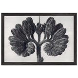 Art Forms in Nature 93 by Karl Blossfeldt, framed poster, view 2